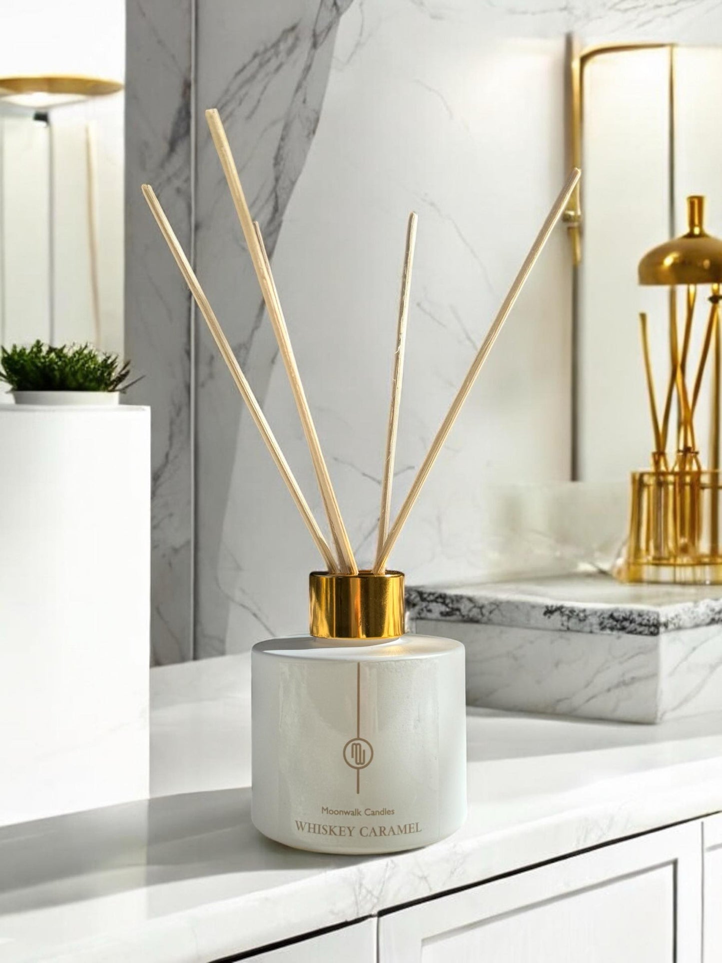 REED DIFFUSER 110ML
